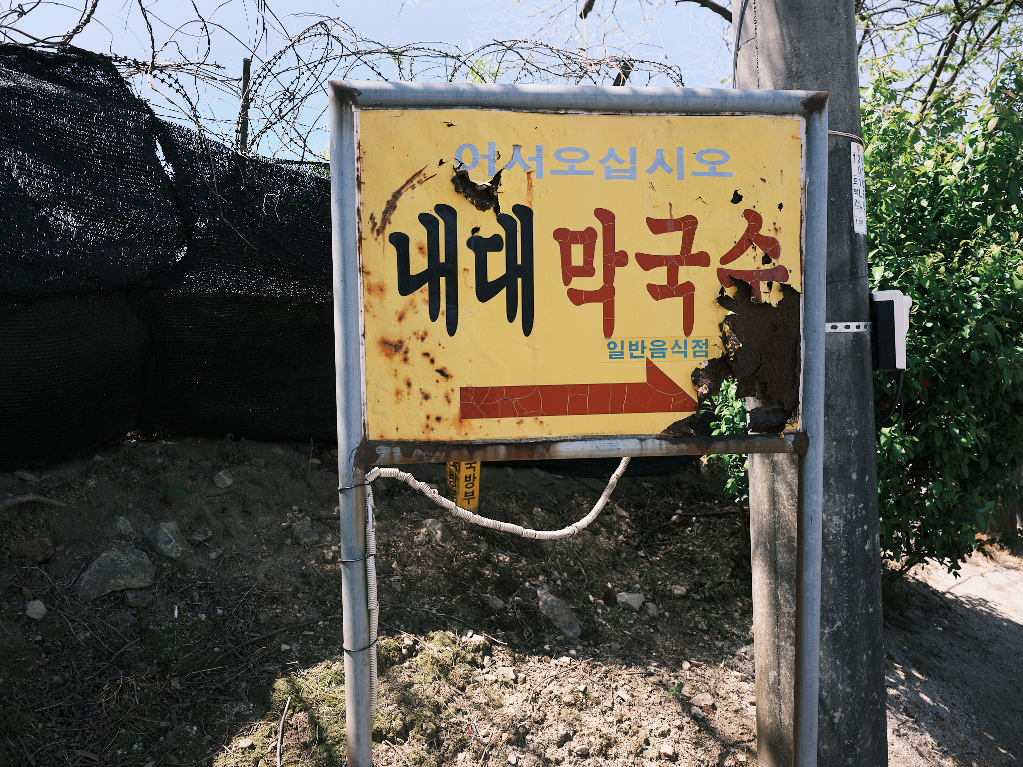 내대막국수