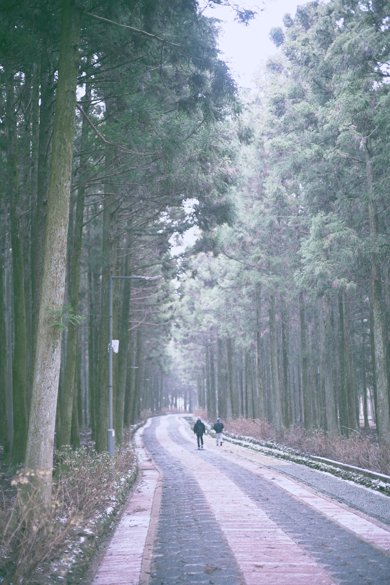 겨울 제주, 하나