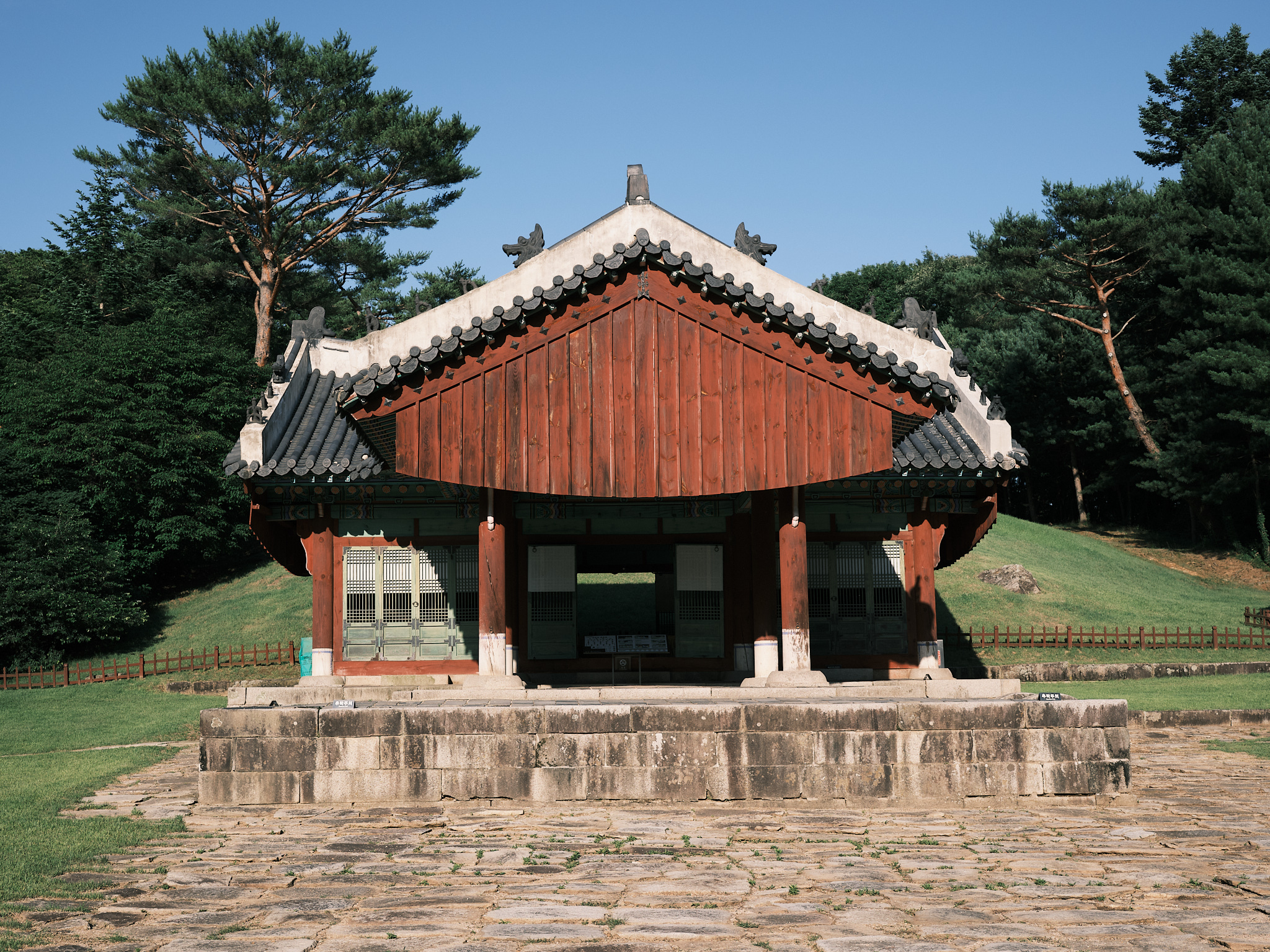 삼릉의 여름